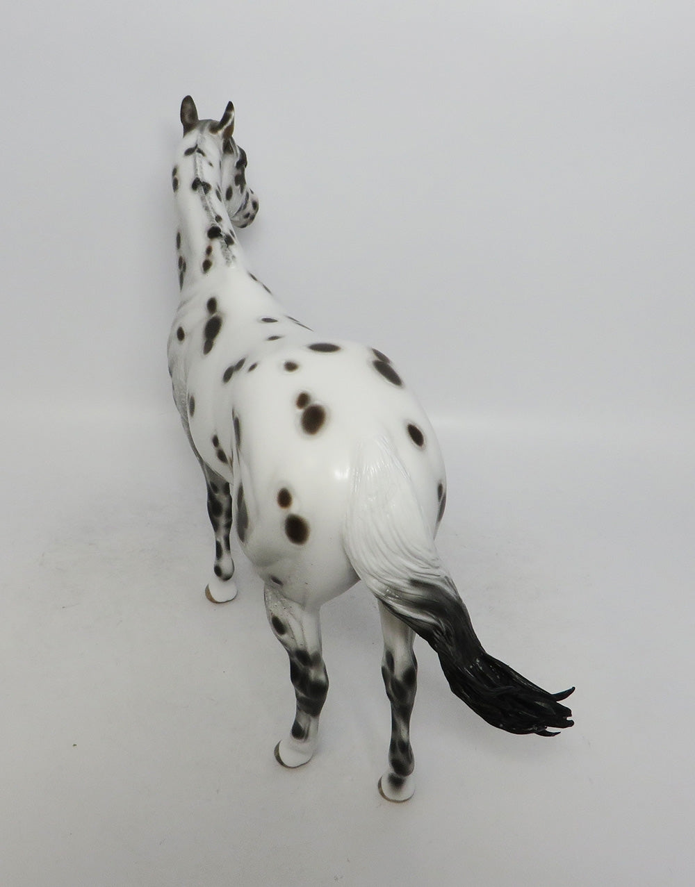 CLEVEREST- OOAK BAY APPALOOSA ISH MODEL HORSE BY SHERYL LEISURE 10/4/2018