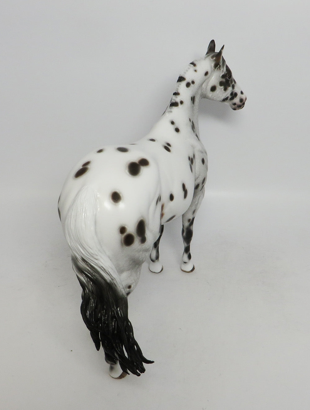 CLEVEREST- OOAK BAY APPALOOSA ISH MODEL HORSE BY SHERYL LEISURE 10/4/2018