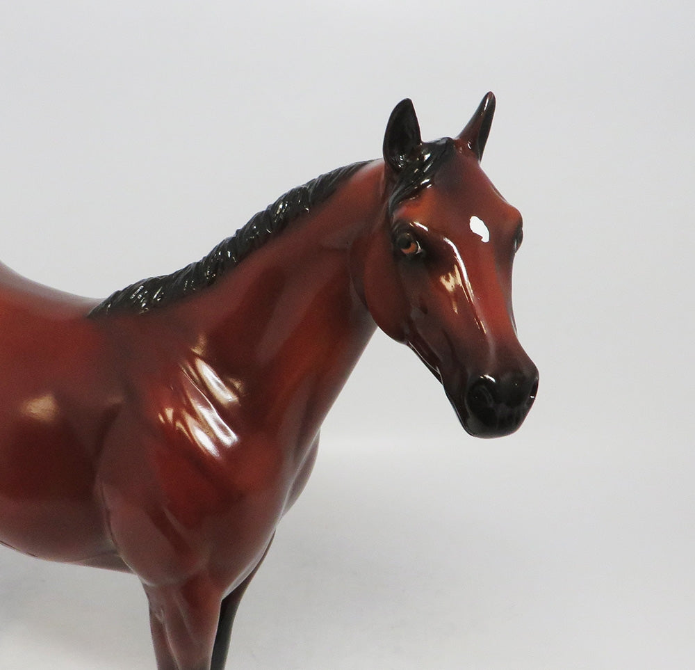 STANDING ROOM ONLY~LE-15 AQHA CONGRESS QUEEN ISH MODEL HORSE 10/4/18