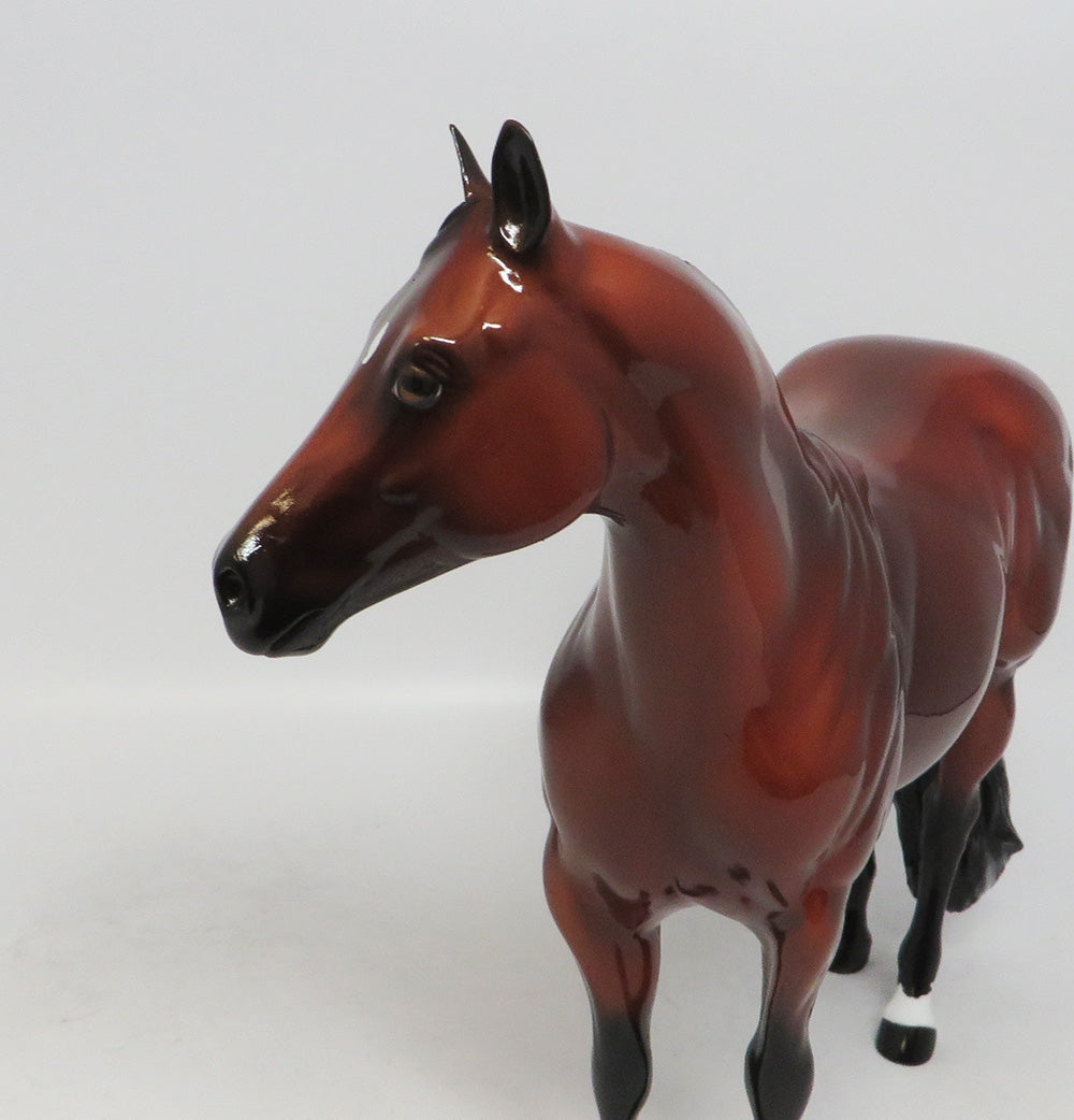 STANDING ROOM ONLY~LE-15 AQHA CONGRESS QUEEN ISH MODEL HORSE 10/4/18