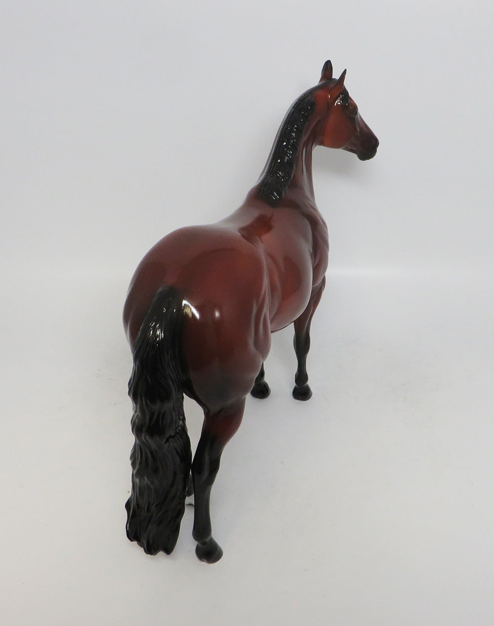 STANDING ROOM ONLY~LE-15 AQHA CONGRESS QUEEN ISH MODEL HORSE 10/4/18