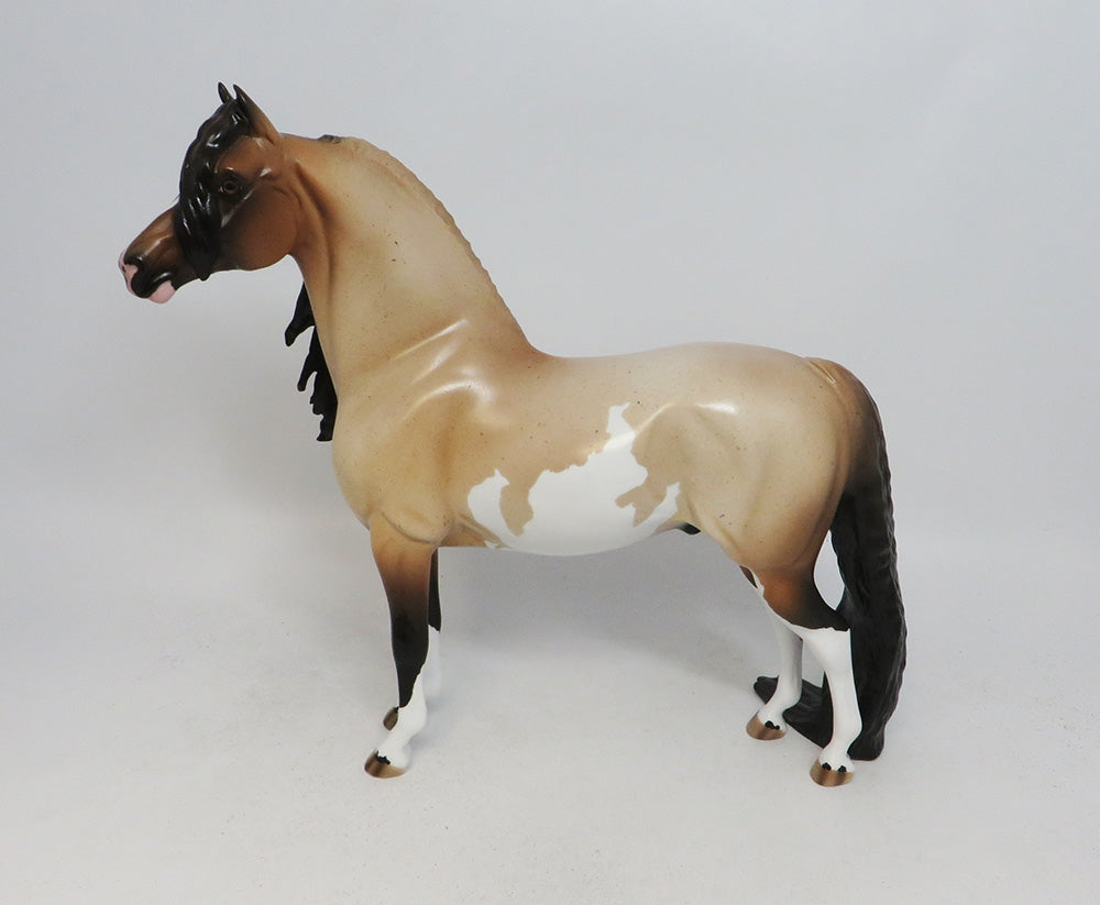 MEDICINE BOW-OOAK CHESTNUT ROAN PINTO MORGAN 10/11/18