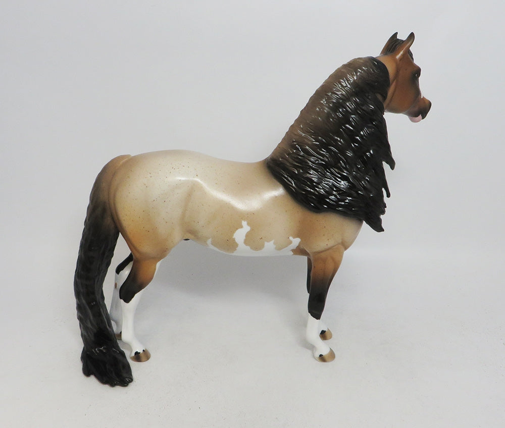 MEDICINE BOW-OOAK CHESTNUT ROAN PINTO MORGAN 10/11/18