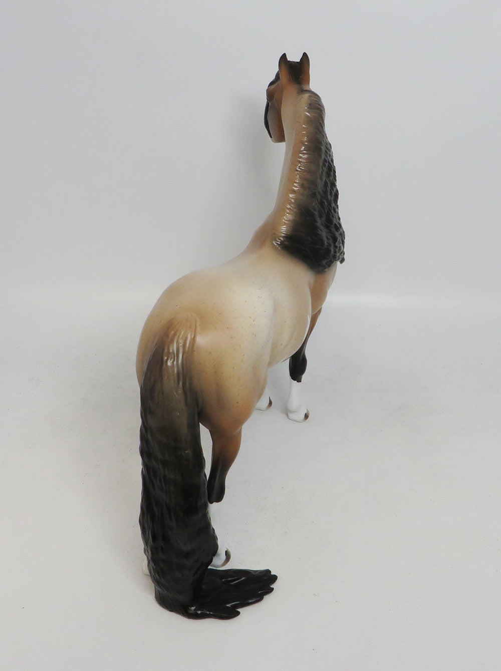 MEDICINE BOW-OOAK CHESTNUT ROAN PINTO MORGAN 10/11/18