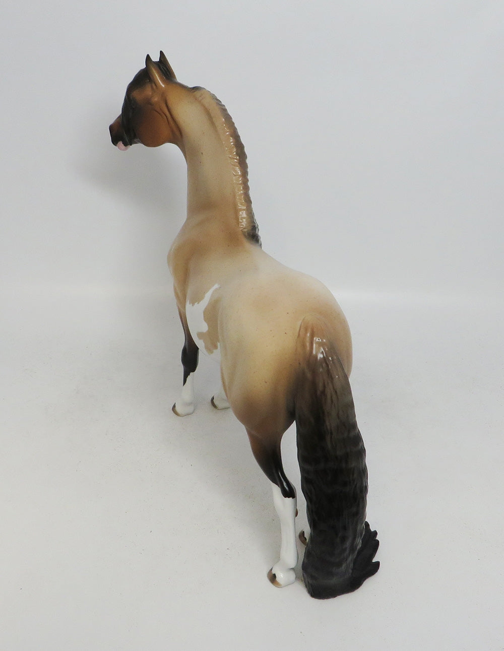 MEDICINE BOW-OOAK CHESTNUT ROAN PINTO MORGAN 10/11/18