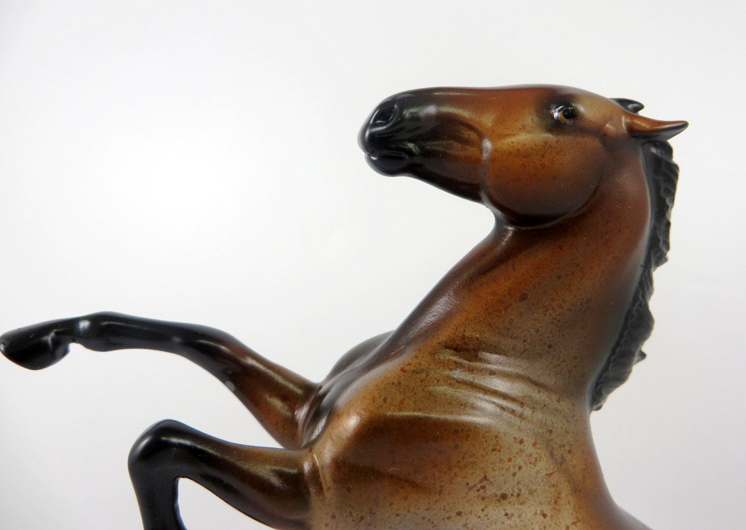 FIG - OOAK BAY ROAN REARING PEBBLES  BY MELISSA FOX 11-8-19