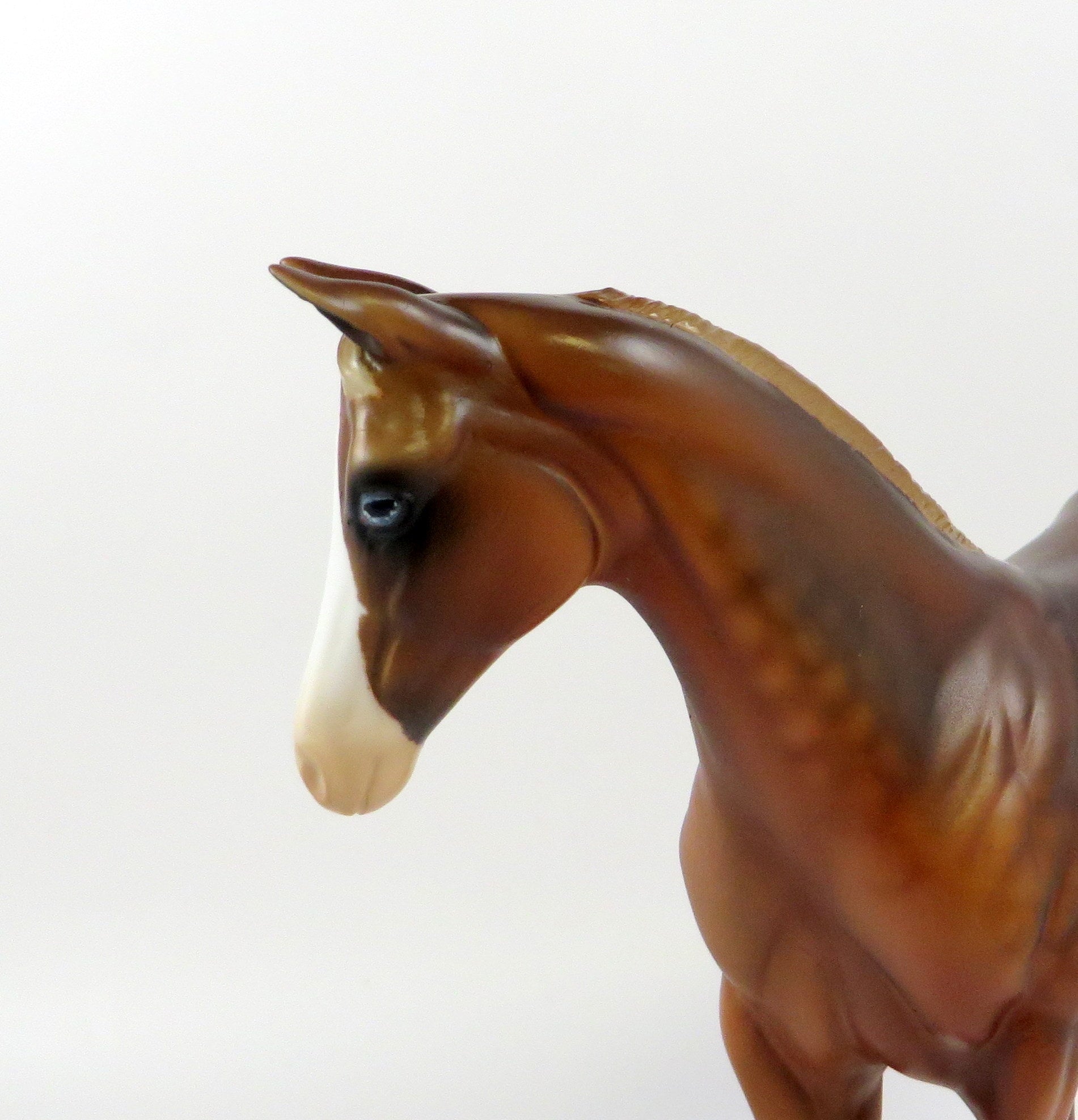 HILL DO IT-OOAK CHESTNUT WEANLING MODEL HORSE BY AUDREY DIXON 6-27-19