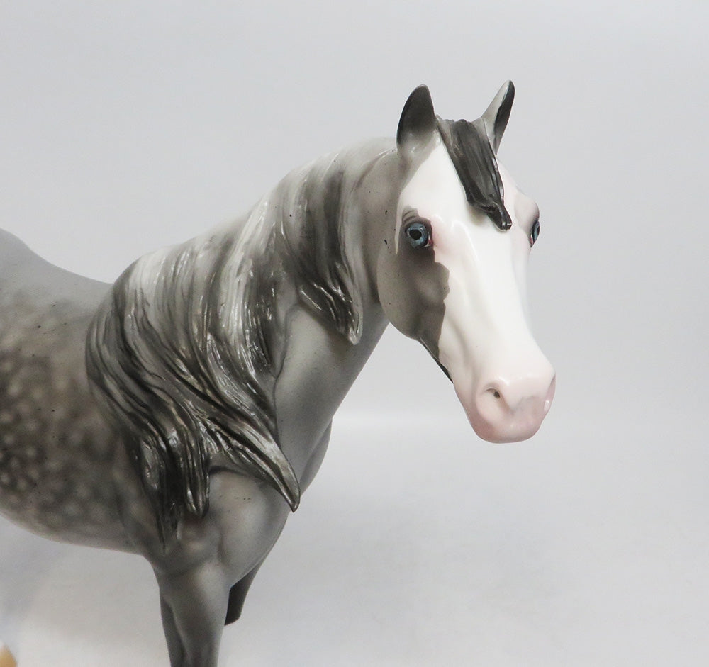 CODY-LE-4 DAPPLE FLEA BIT GREY ISH MODEL HORSE 10/12/18