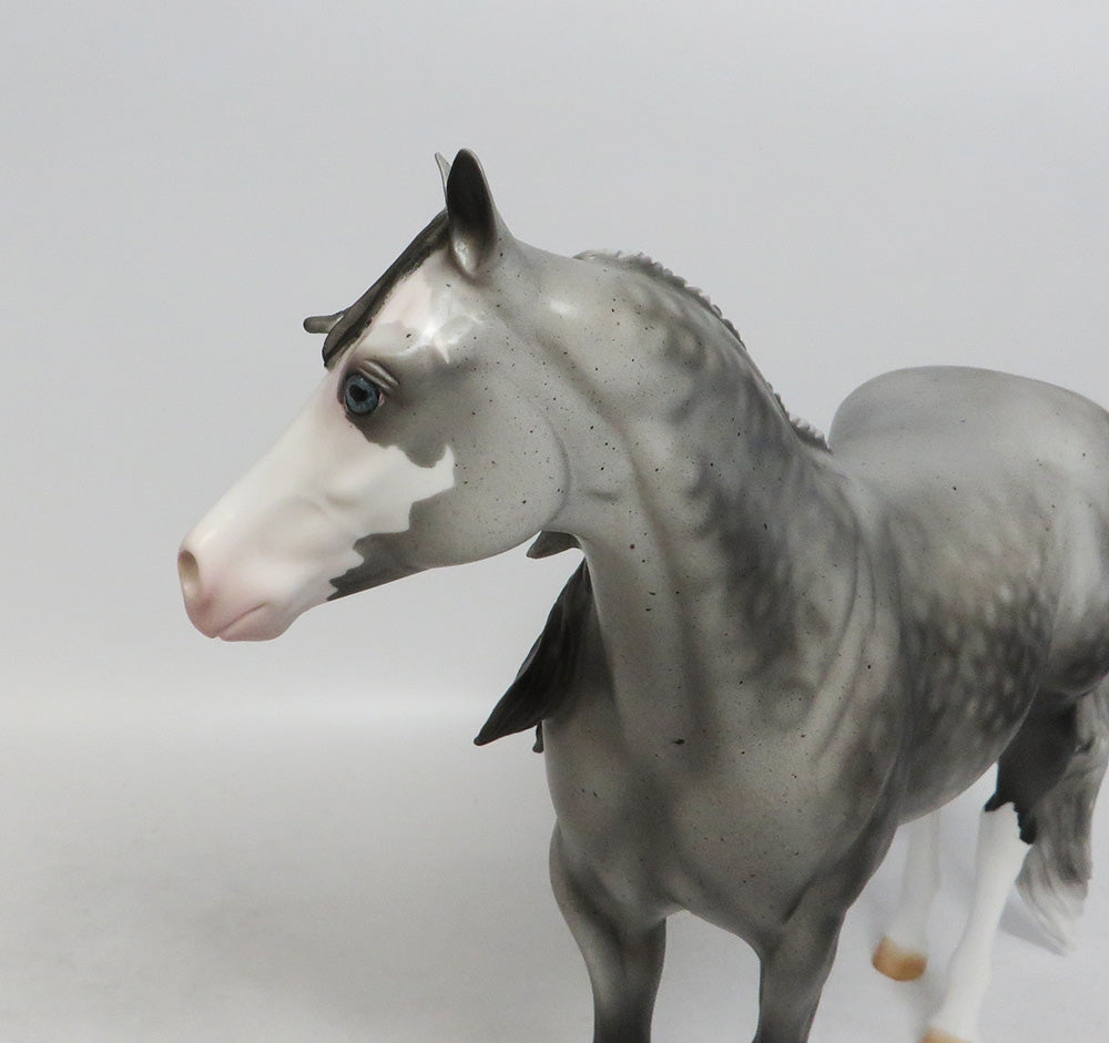 CODY-LE-4 DAPPLE FLEA BIT GREY ISH MODEL HORSE 10/12/18