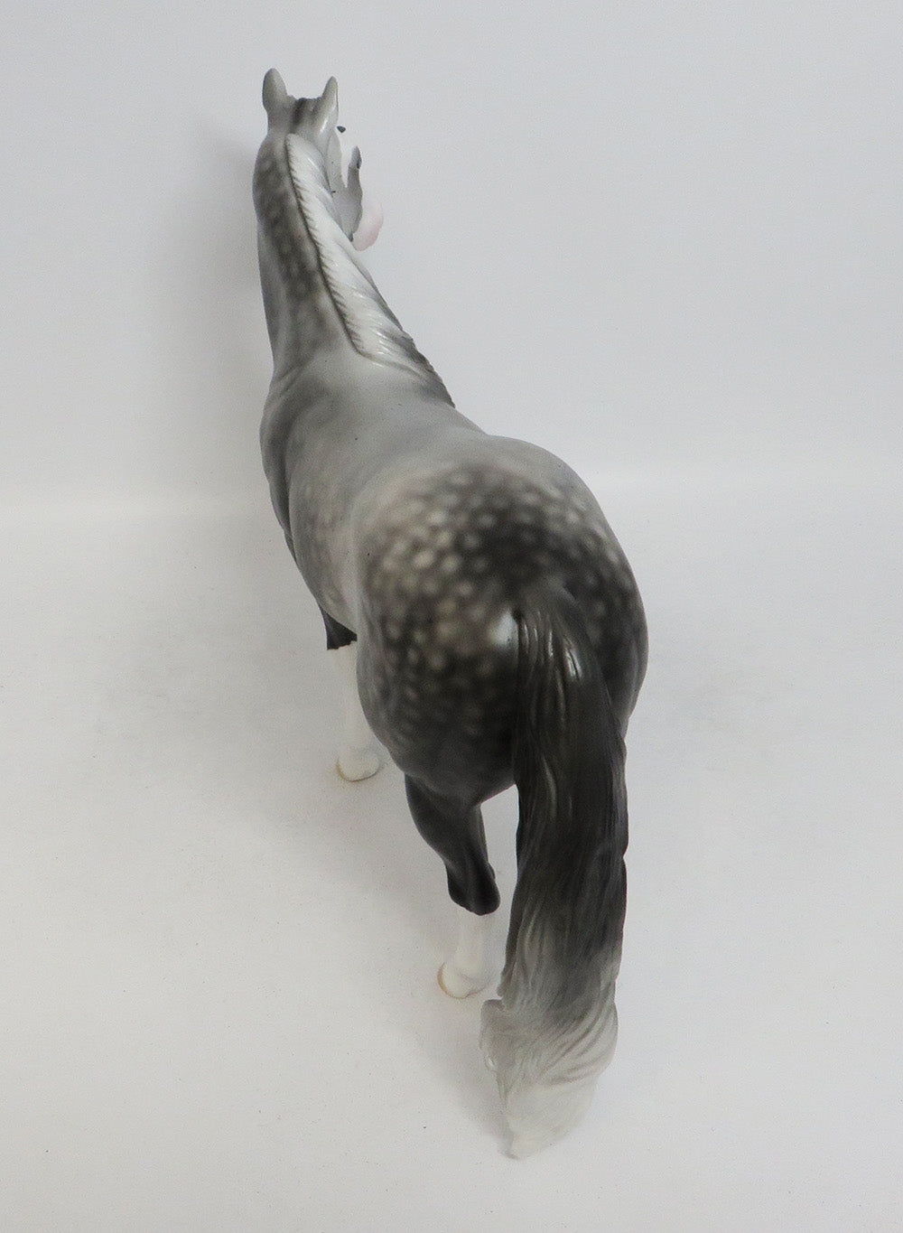 CODY-LE-4 DAPPLE FLEA BIT GREY ISH MODEL HORSE 10/12/18