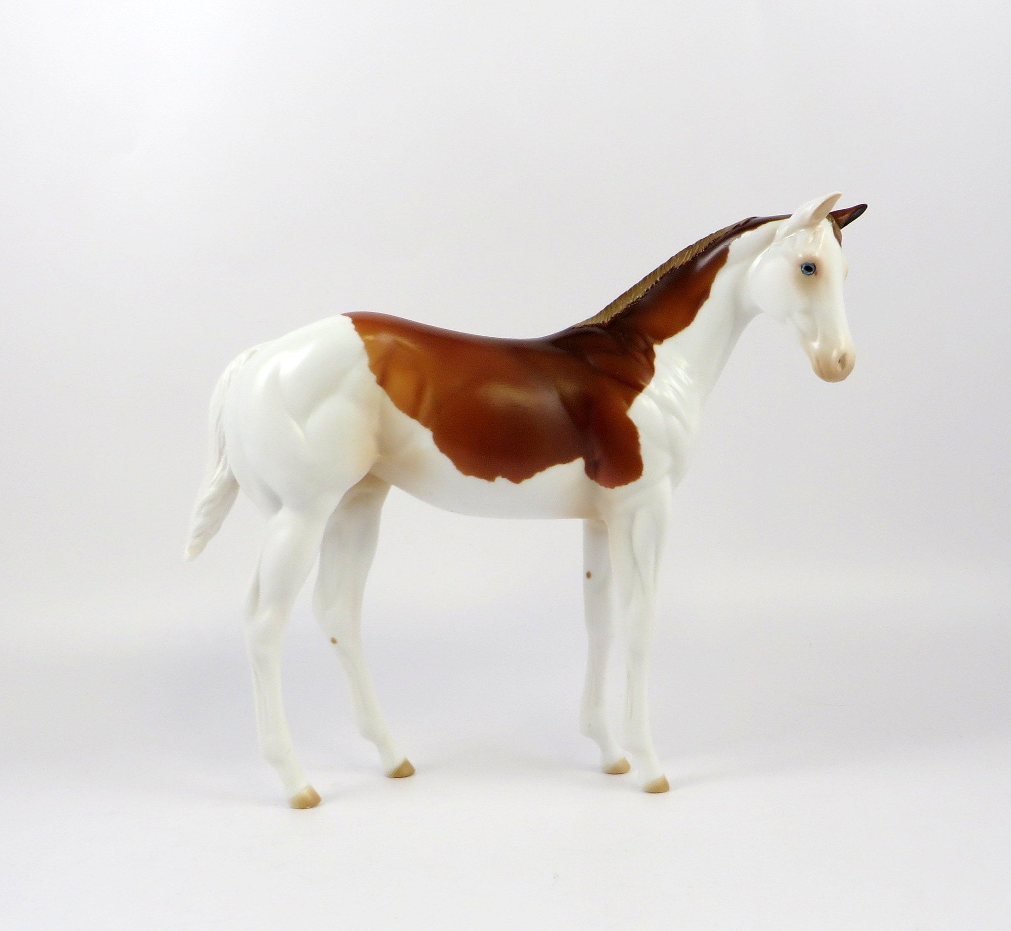 CHAKOTE-OOAK CHESTNUT SPLASH WEANLING MODEL HORSE 6/27