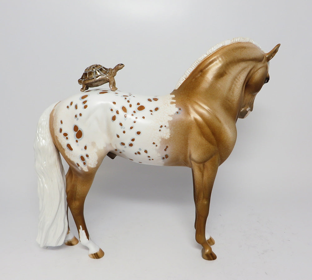 EQUILOCITY BASKET~I LOVE TURTLES-25 TICKETS