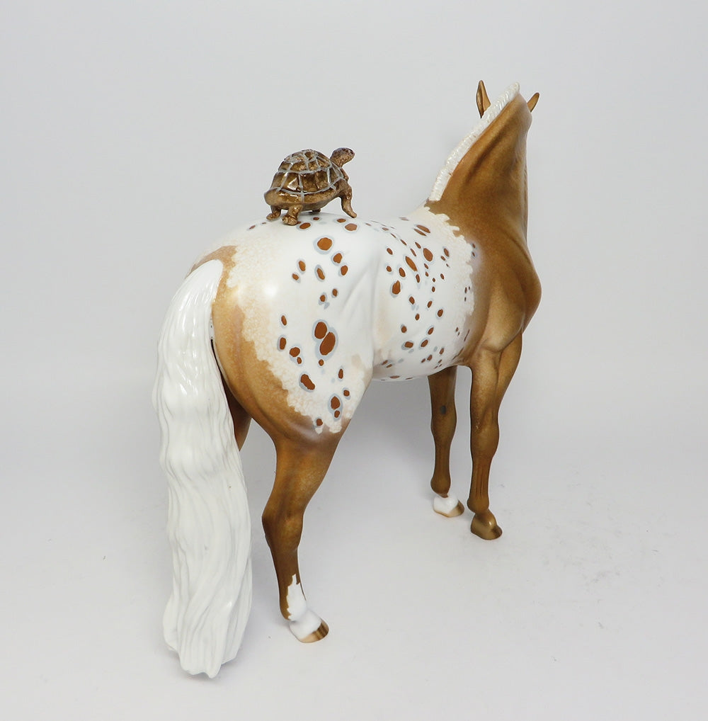 EQUILOCITY BASKET~I LOVE TURTLES-25 TICKETS