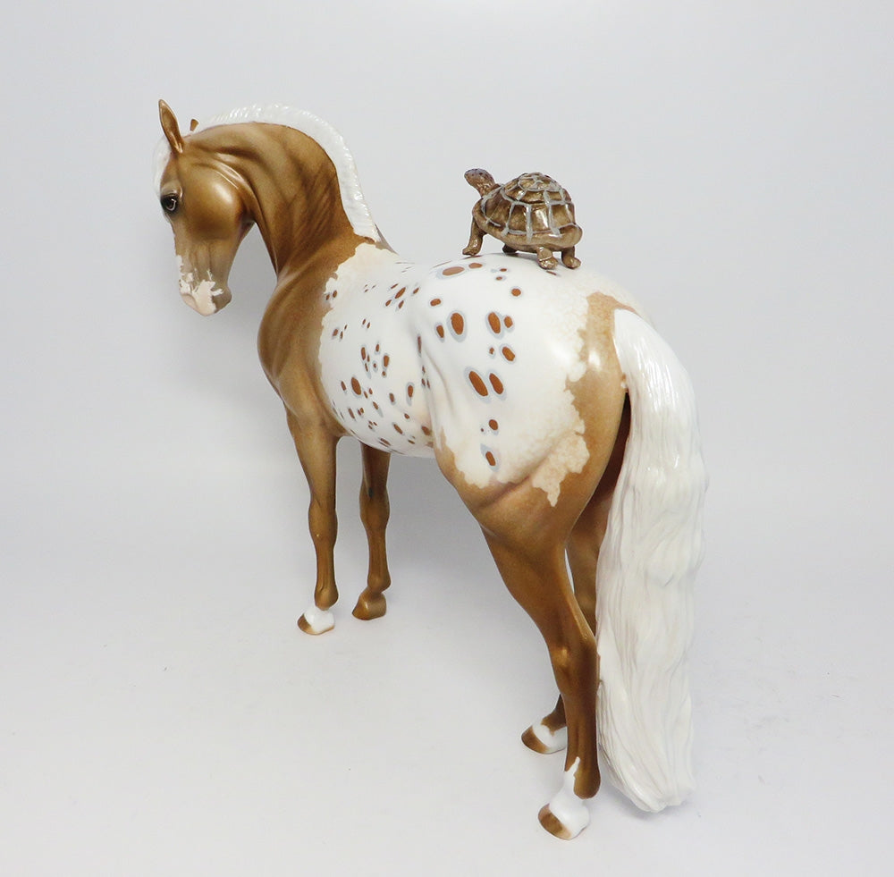 EQUILOCITY BASKET~I LOVE TURTLES-25 TICKETS