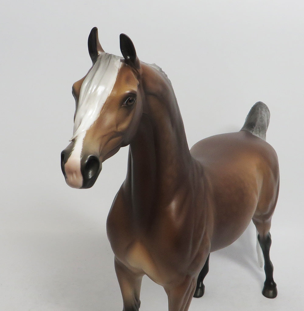 PUMPKIN MUFFIN-OOAK SILVER DAPPLE BAY ARABIAN MODEL HORSE BY SHERYL LEISURE 10/12/18