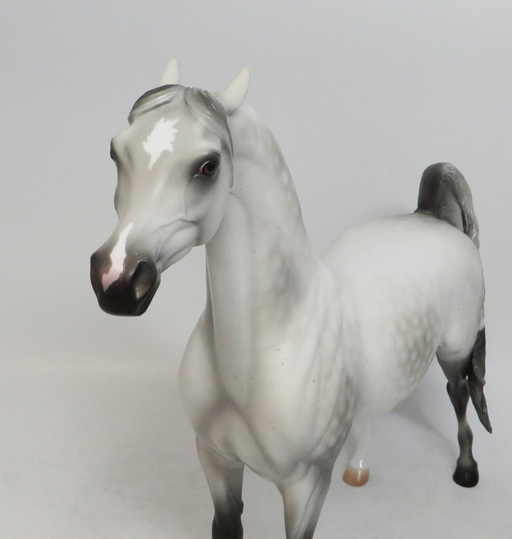 HULETT-OOAK DAPPLE GREY ARABIAN MODEL HORSE 10/12/18