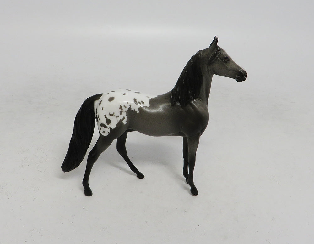 DEVIN"S SHOT- OOAK GREY APPALOOSA MORGAN CHIP 10/18/18