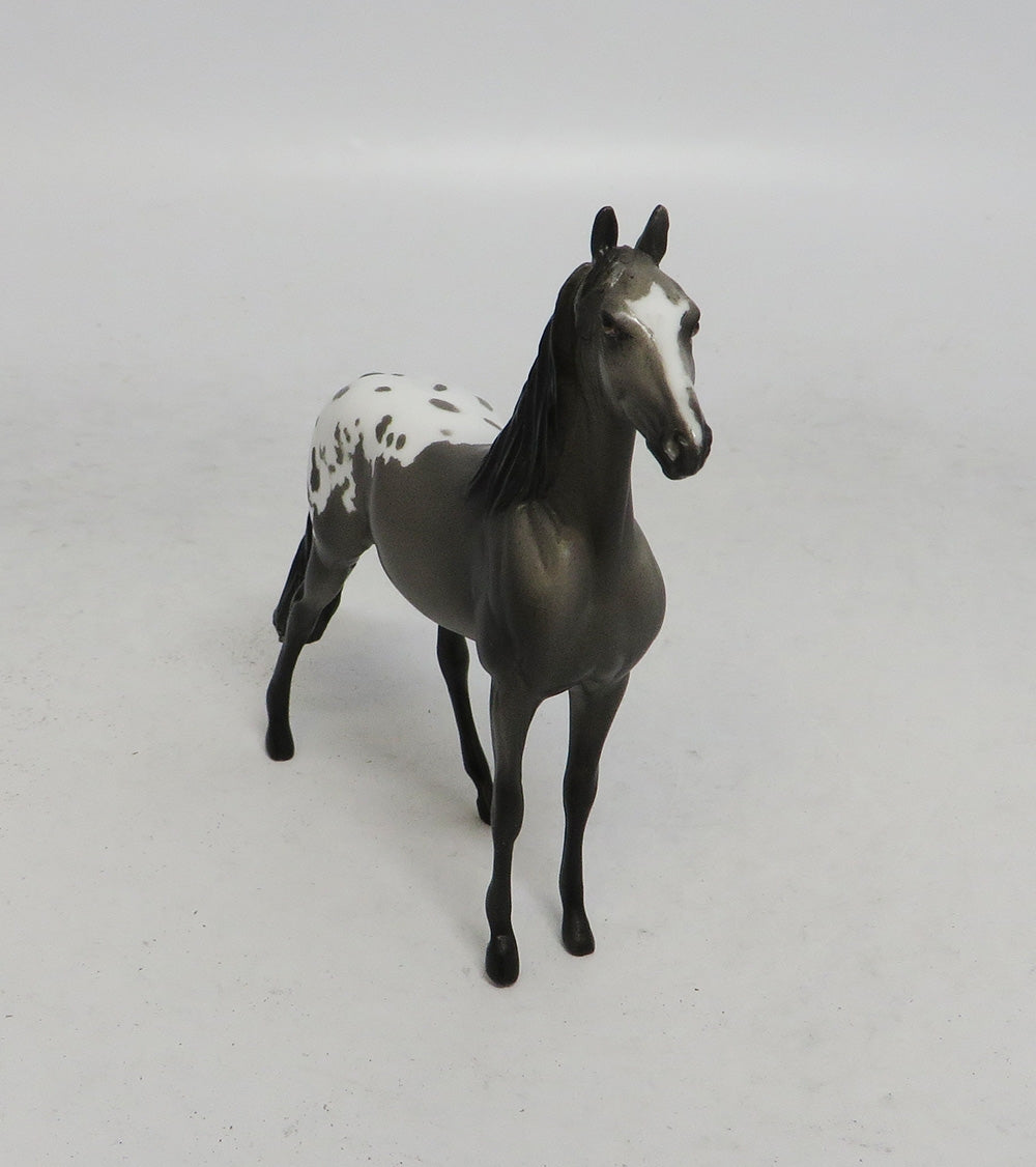 DEVIN&quot;S SHOT- OOAK GREY APPALOOSA MORGAN CHIP 10/18/18