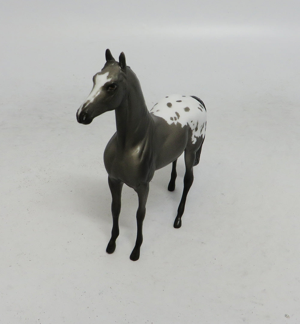 DEVIN&quot;S SHOT- OOAK GREY APPALOOSA MORGAN CHIP 10/18/18