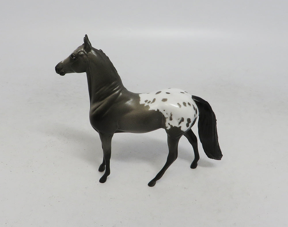 DEVIN&quot;S SHOT- OOAK GREY APPALOOSA MORGAN CHIP 10/18/18