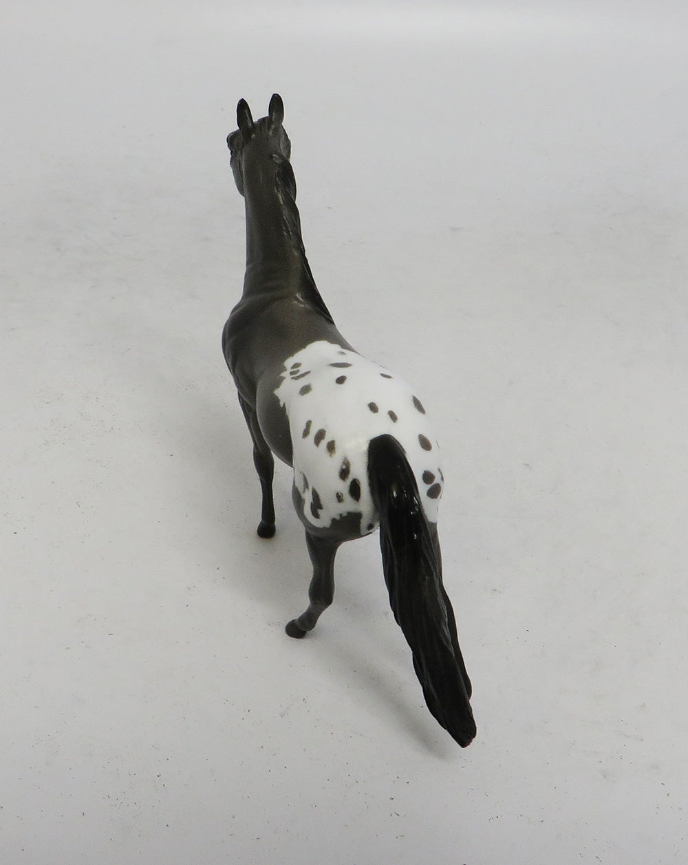 DEVIN&quot;S SHOT- OOAK GREY APPALOOSA MORGAN CHIP 10/18/18