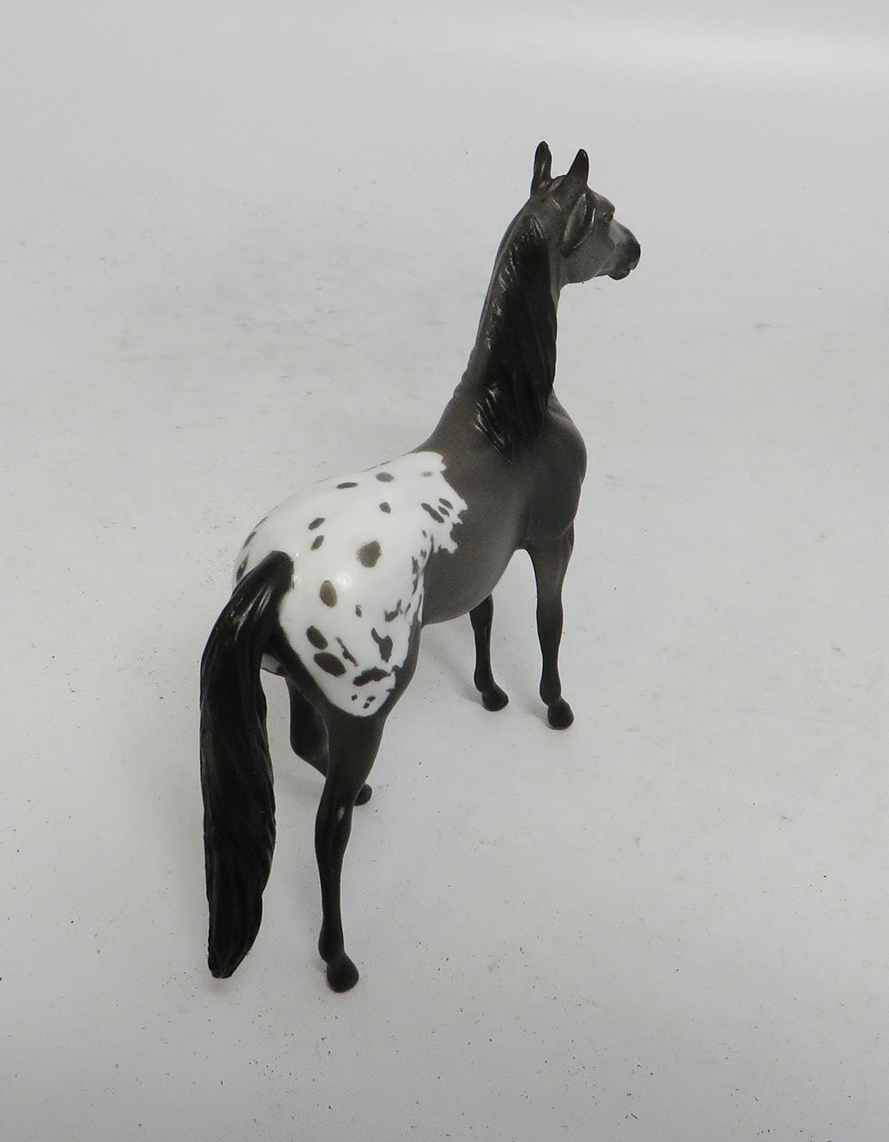 DEVIN&quot;S SHOT- OOAK GREY APPALOOSA MORGAN CHIP 10/18/18