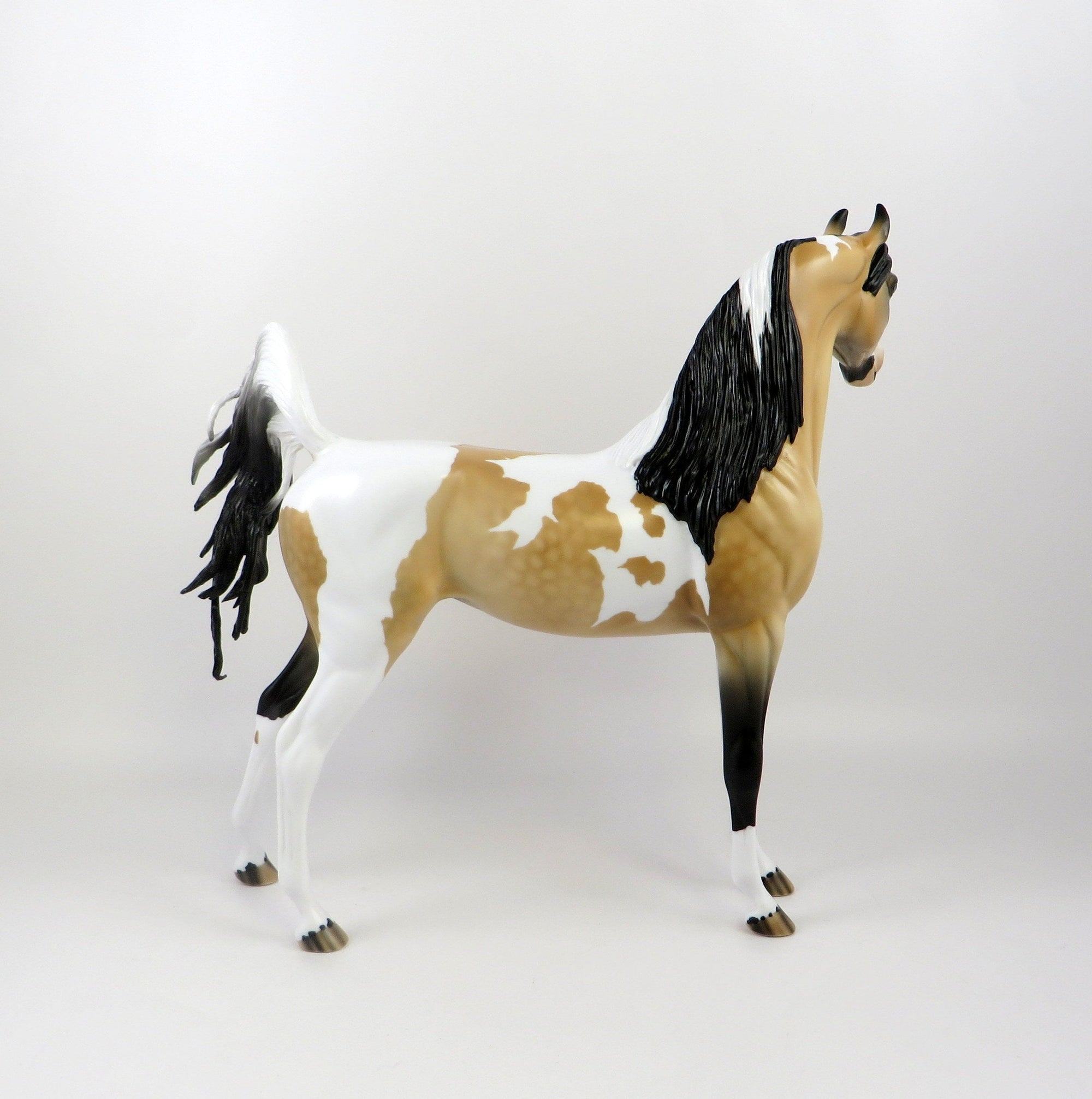 CAPELLA  - OOAK DAPPLE BUCKSKIN TOBIANO  ARABIAN MODEL HORSE BY AUDREY DIXON 6/27/19