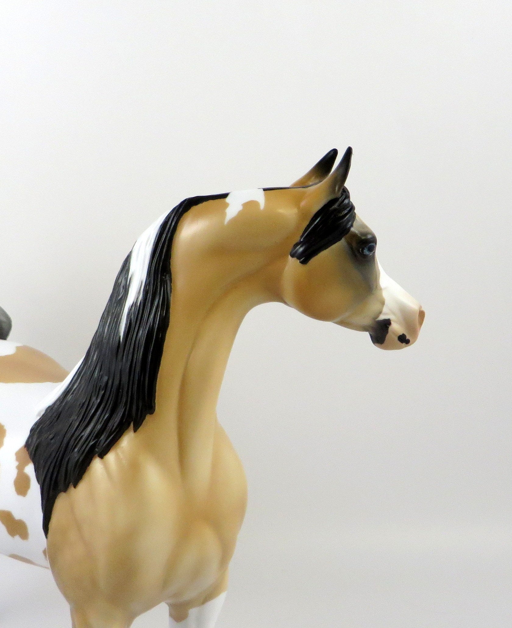 CAPELLA  - OOAK DAPPLE BUCKSKIN TOBIANO  ARABIAN MODEL HORSE BY AUDREY DIXON 6/27/19