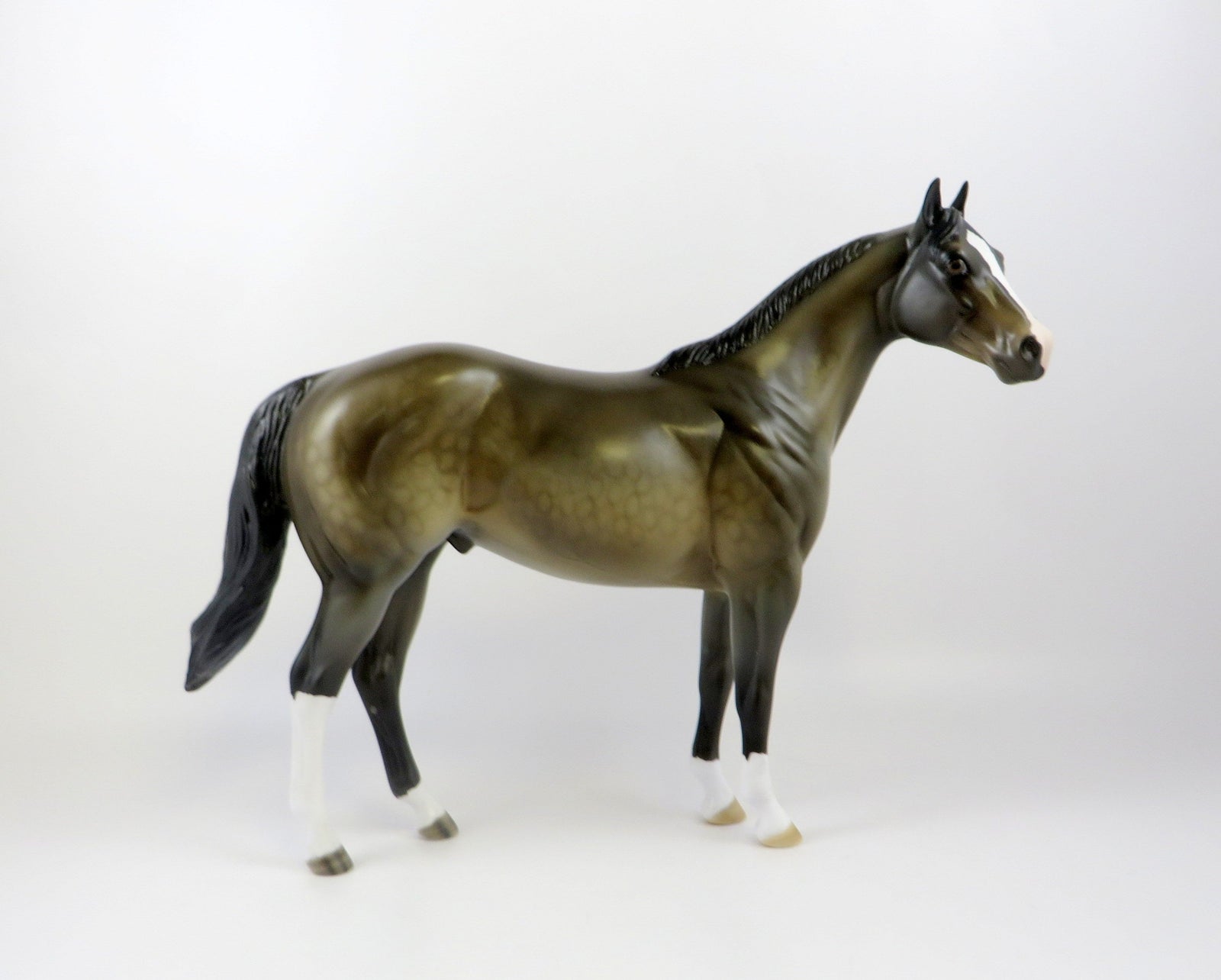 RAZULI - OOAK SOOTY BUCKSKIN  ISH BY AMANDA HOSTETLER 6/27/19