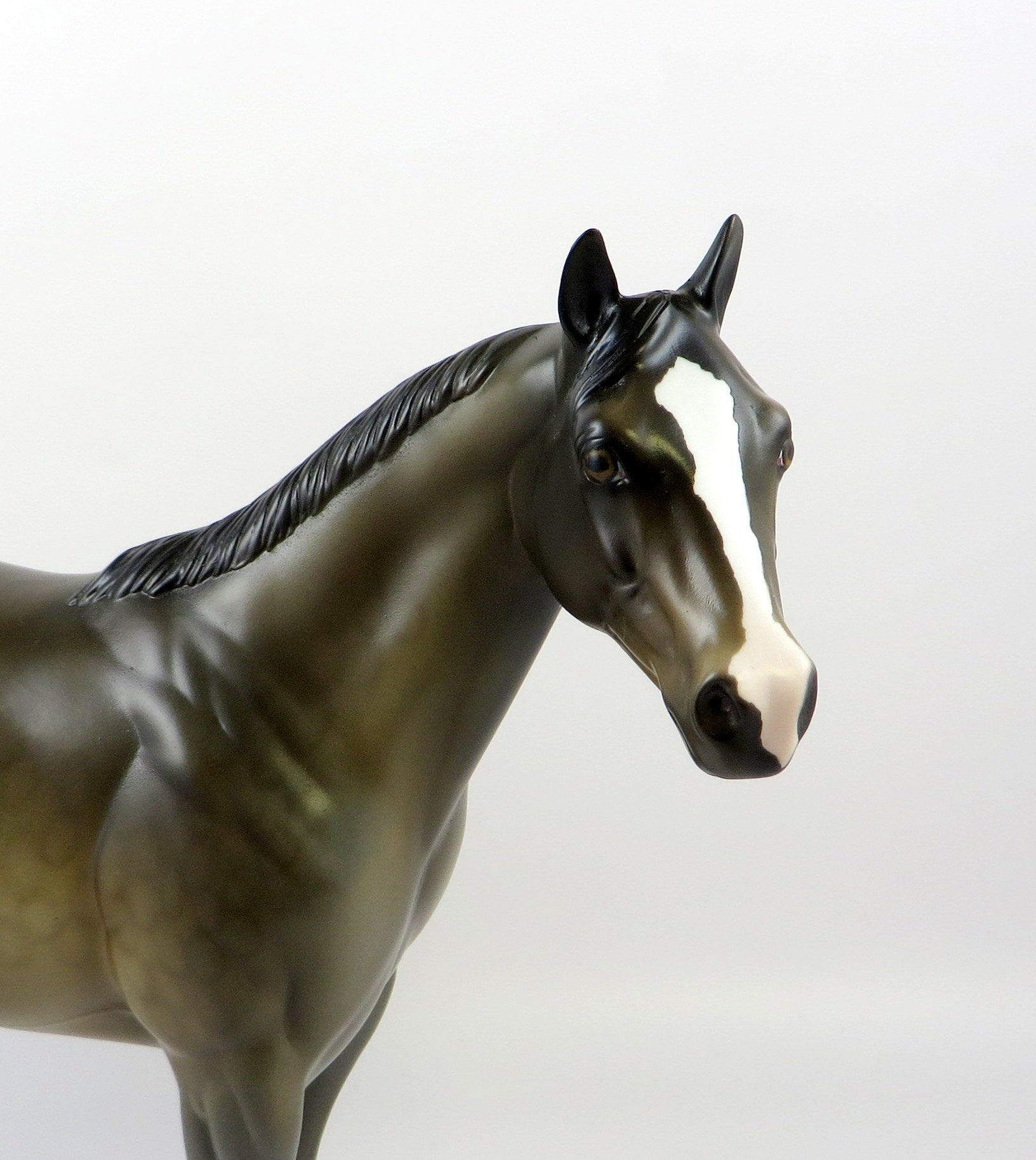 RAZULI - OOAK SOOTY BUCKSKIN  ISH BY AMANDA HOSTETLER 6/27/19