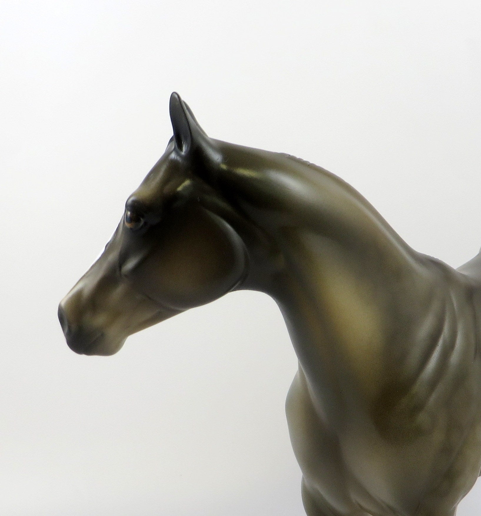 RAZULI - OOAK SOOTY BUCKSKIN  ISH BY AMANDA HOSTETLER 6/27/19