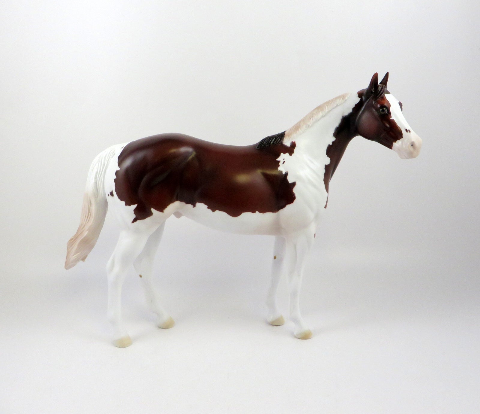 AFTERSHOCK - OOAK BAY PINTO ISH BY AMANDA HOSTETLER 6/27/19