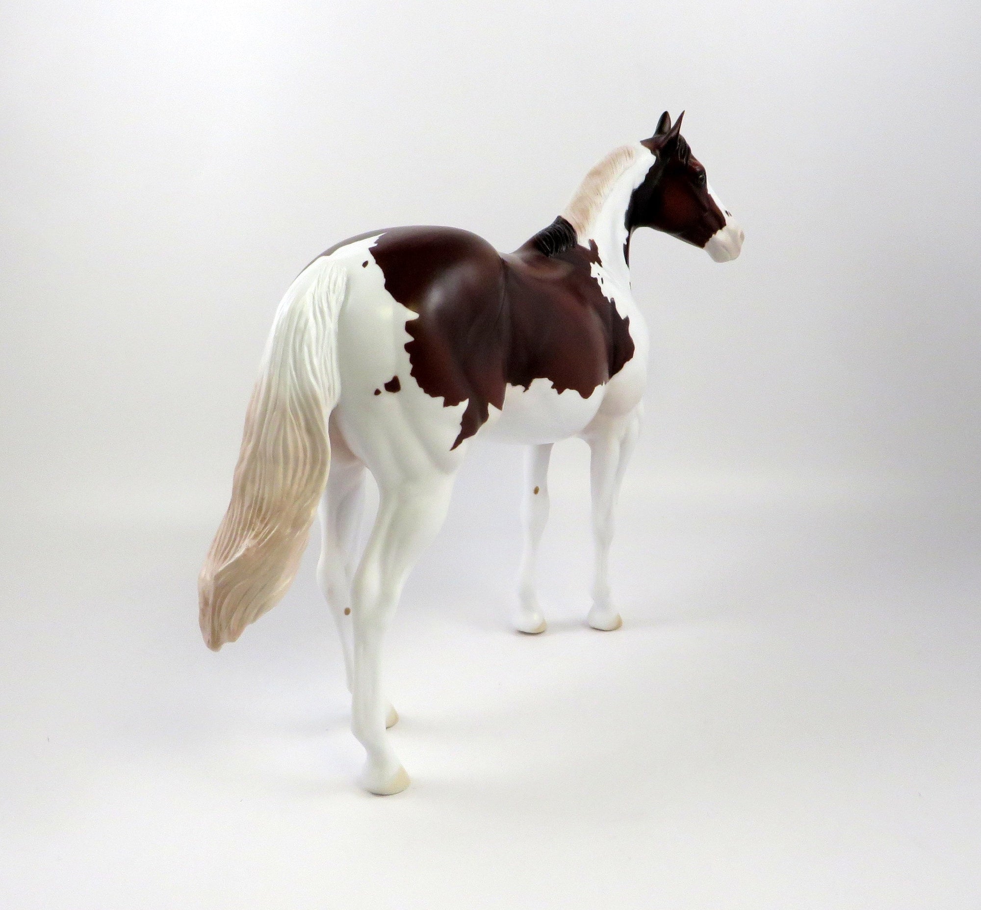 AFTERSHOCK - OOAK BAY PINTO ISH BY AMANDA HOSTETLER 6/27/19