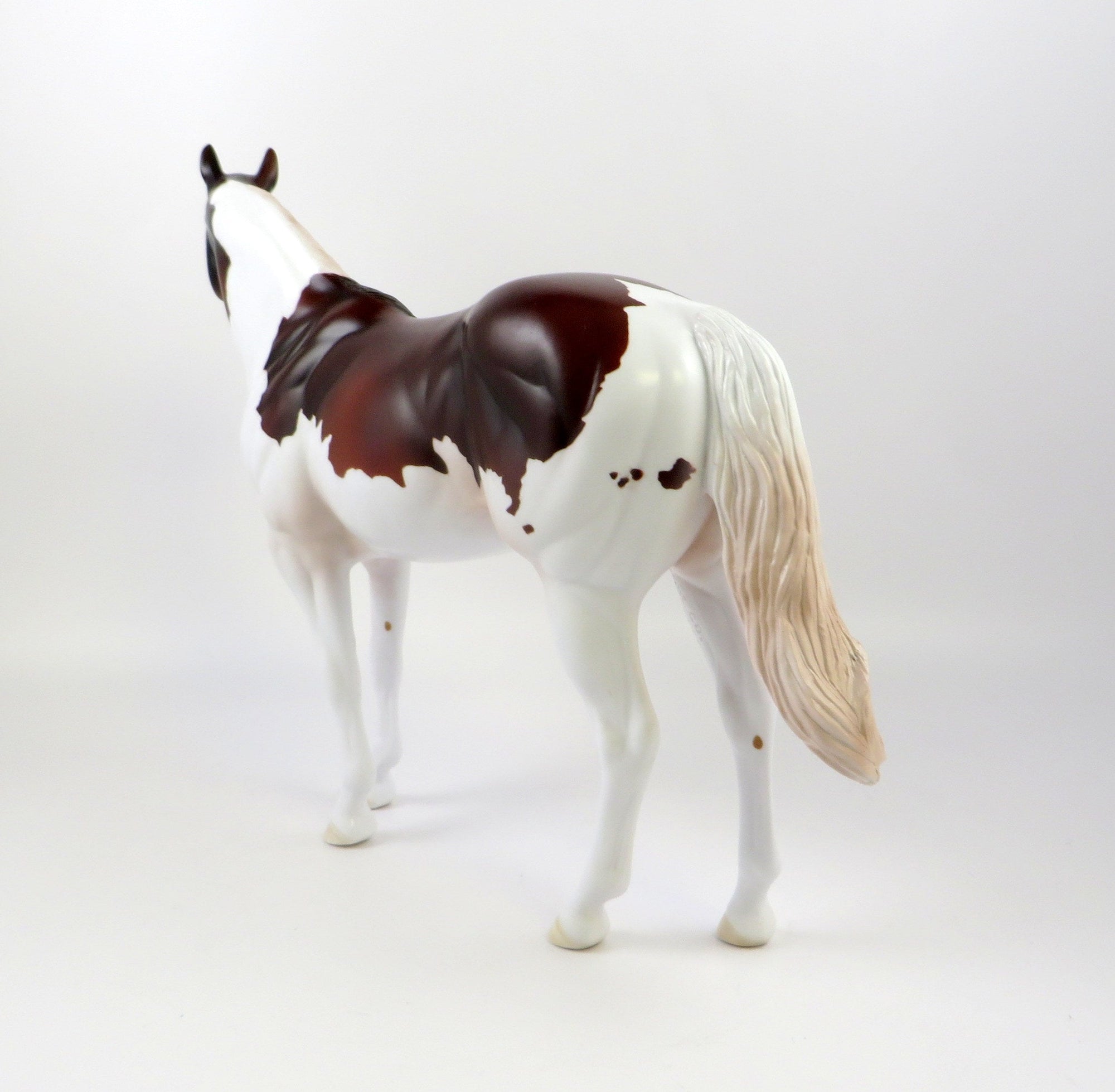 AFTERSHOCK - OOAK BAY PINTO ISH BY AMANDA HOSTETLER 6/27/19