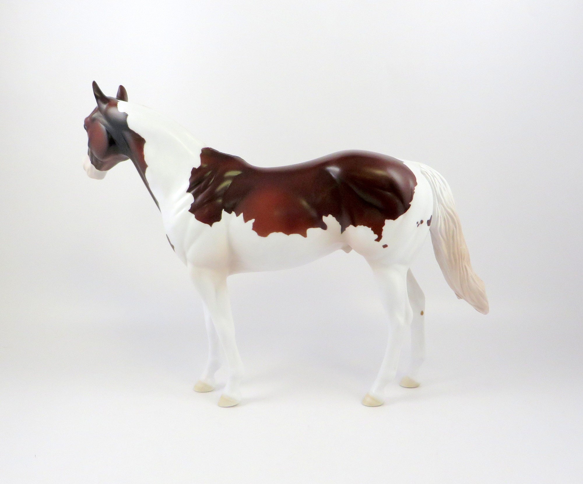 AFTERSHOCK - OOAK BAY PINTO ISH BY AMANDA HOSTETLER 6/27/19