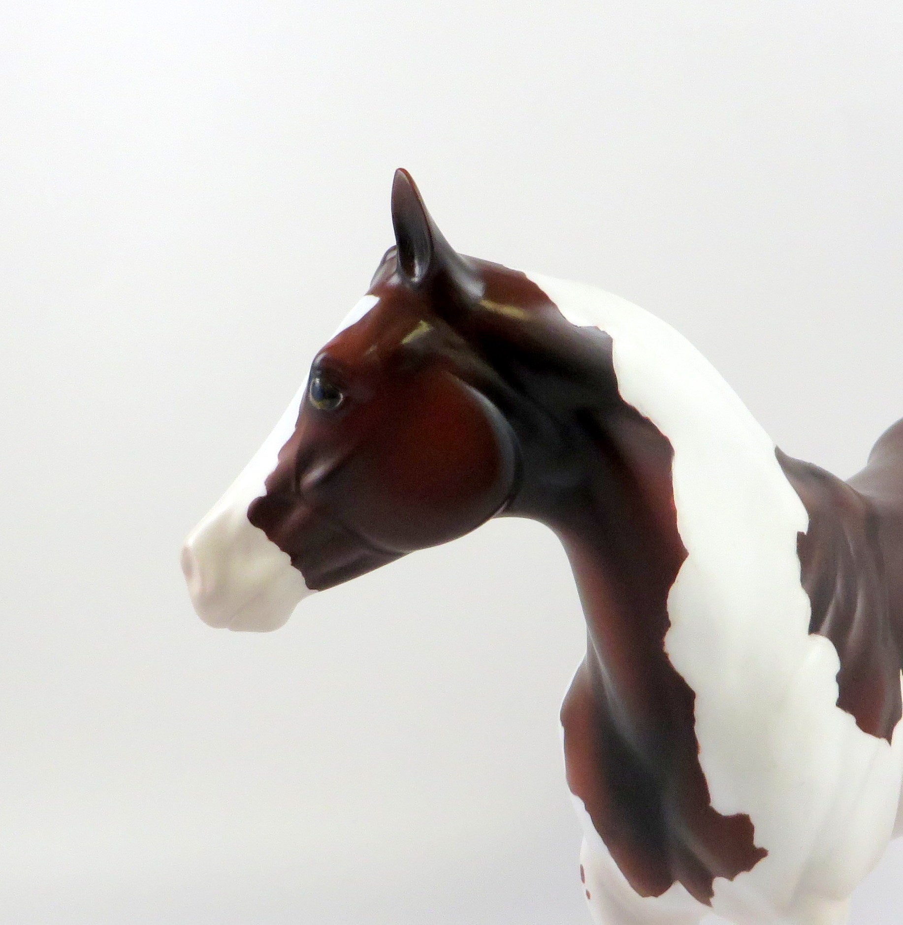 AFTERSHOCK - OOAK BAY PINTO ISH BY AMANDA HOSTETLER 6/27/19