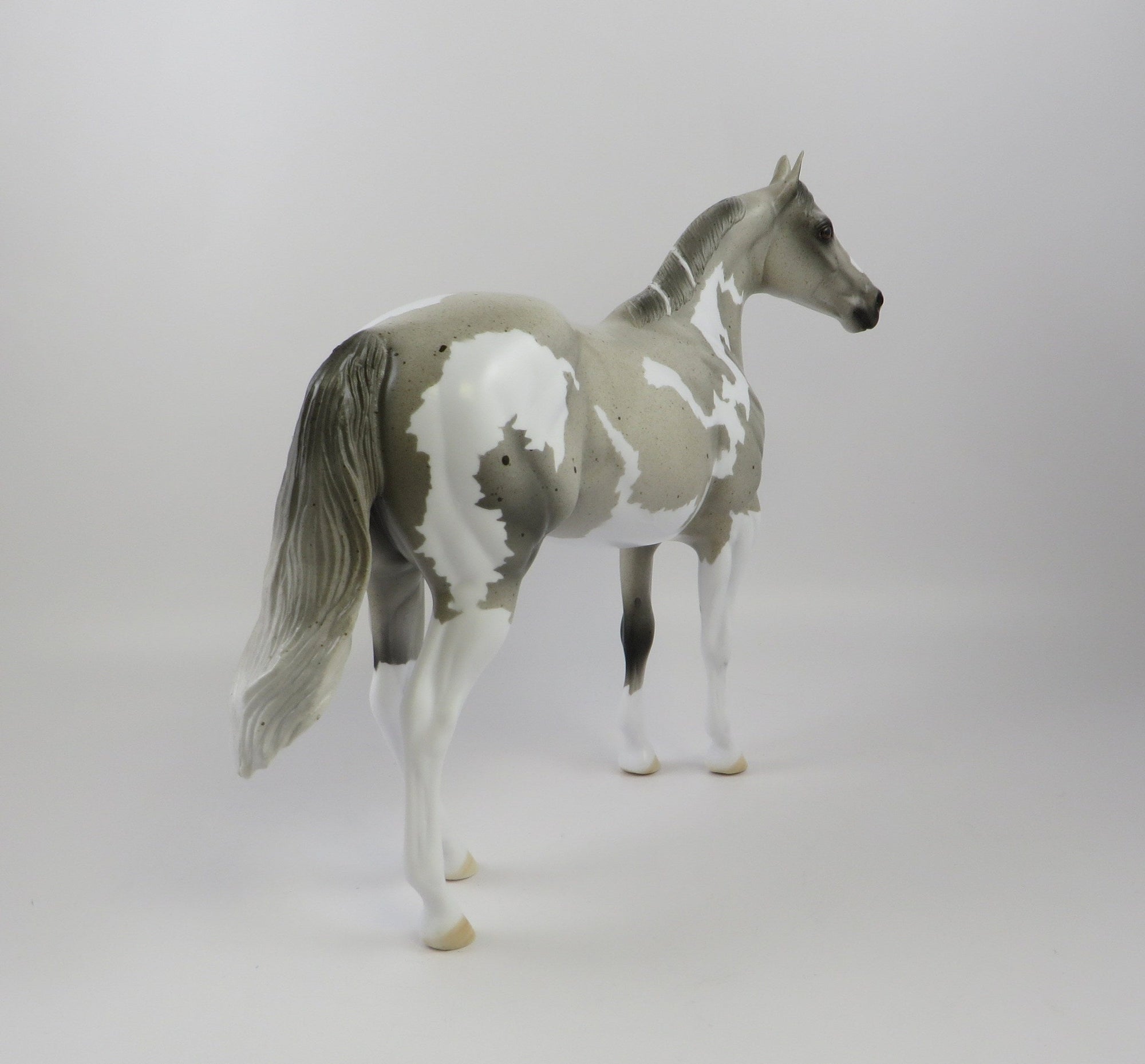 URI - OOAK LIGHT GREY PINTO ISH BY AMANDA HOSTETLER 6/27/19