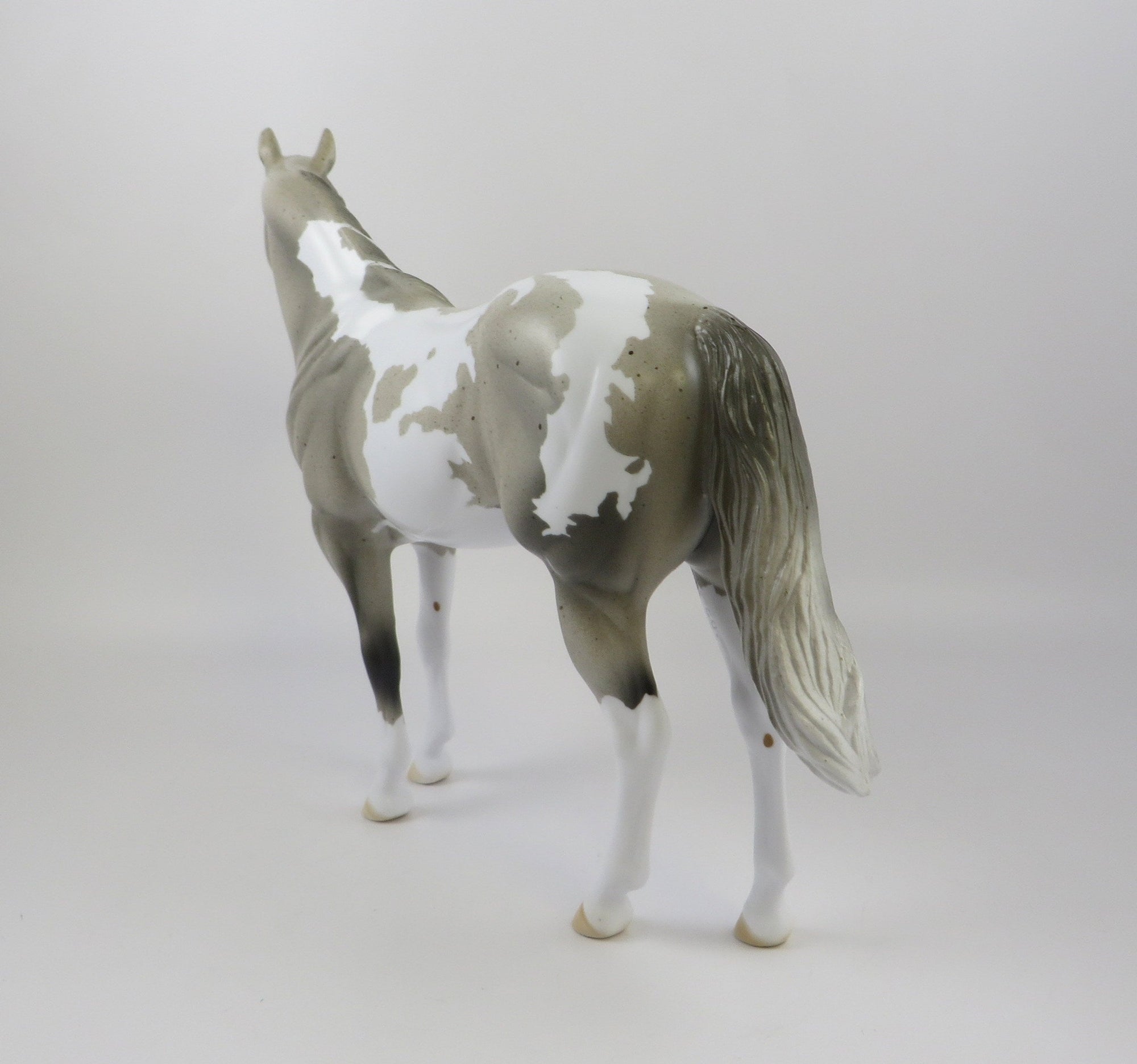 URI - OOAK LIGHT GREY PINTO ISH BY AMANDA HOSTETLER 6/27/19