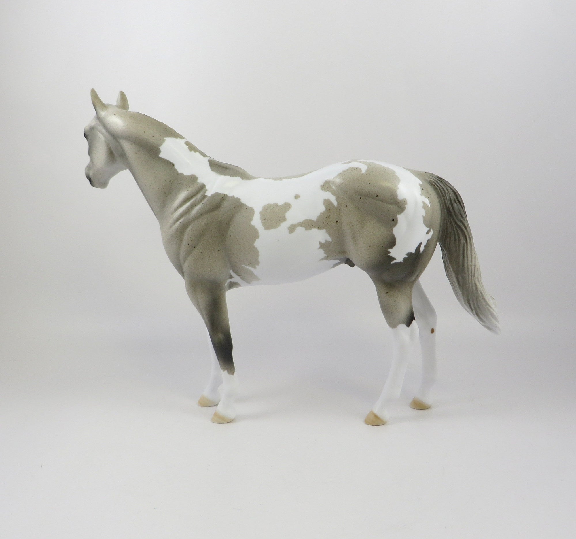 URI - OOAK LIGHT GREY PINTO ISH BY AMANDA HOSTETLER 6/27/19