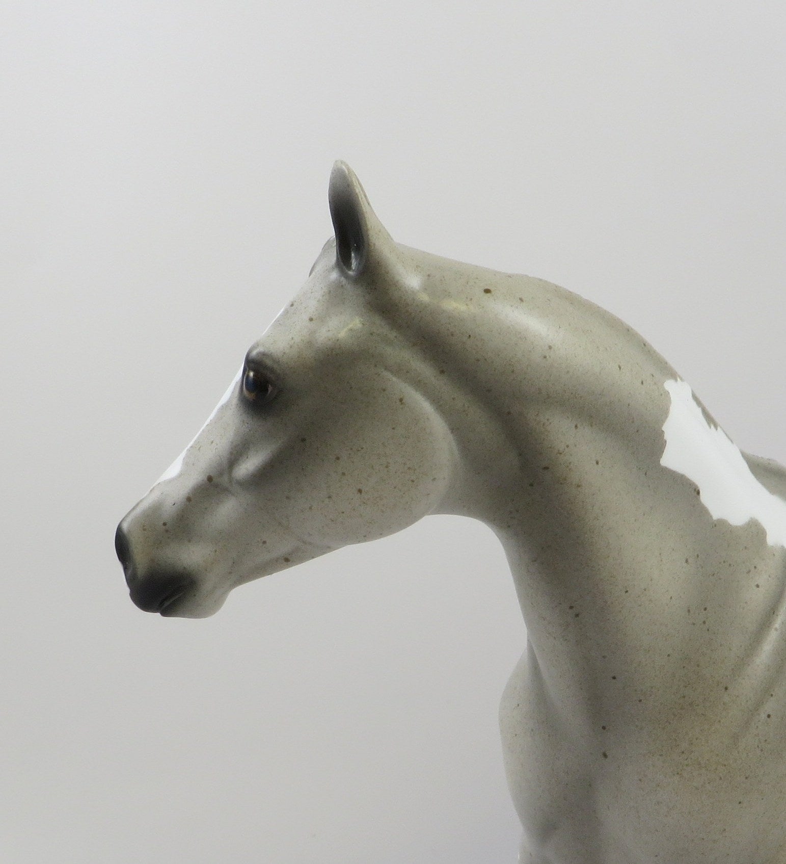 URI - OOAK LIGHT GREY PINTO ISH BY AMANDA HOSTETLER 6/27/19