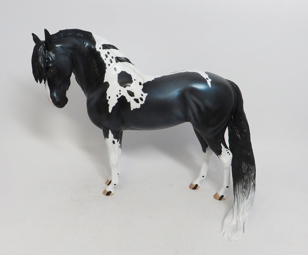 ELAINE ERMINE- LE-10- BLACK ANDALUSIAN MODEL HORSE CUSTOM BY AUDREY DIXON MM 18