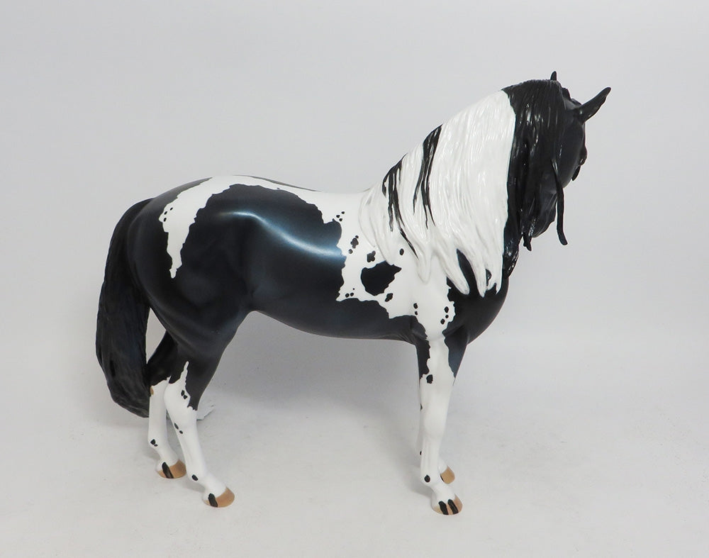 ELAINE ERMINE- LE-10- BLACK ANDALUSIAN MODEL HORSE CUSTOM BY AUDREY DIXON MM 18