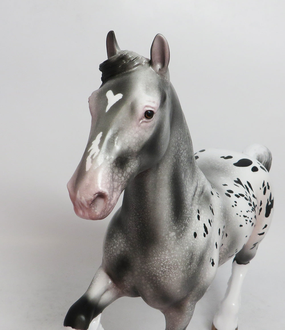MIdnight- OOAK Trotting Drafter Appolosa MODEL HORSE 2018