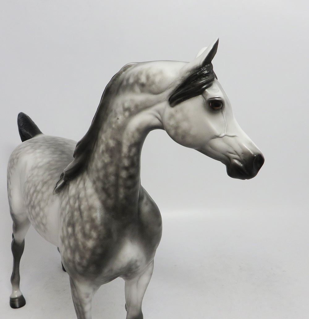 SPOOKlEY- OOAK DAPPLED GREY BLACK POINTS 10/26/18