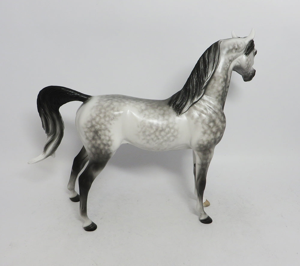 SPOOKlEY- OOAK DAPPLED GREY BLACK POINTS 10/26/18
