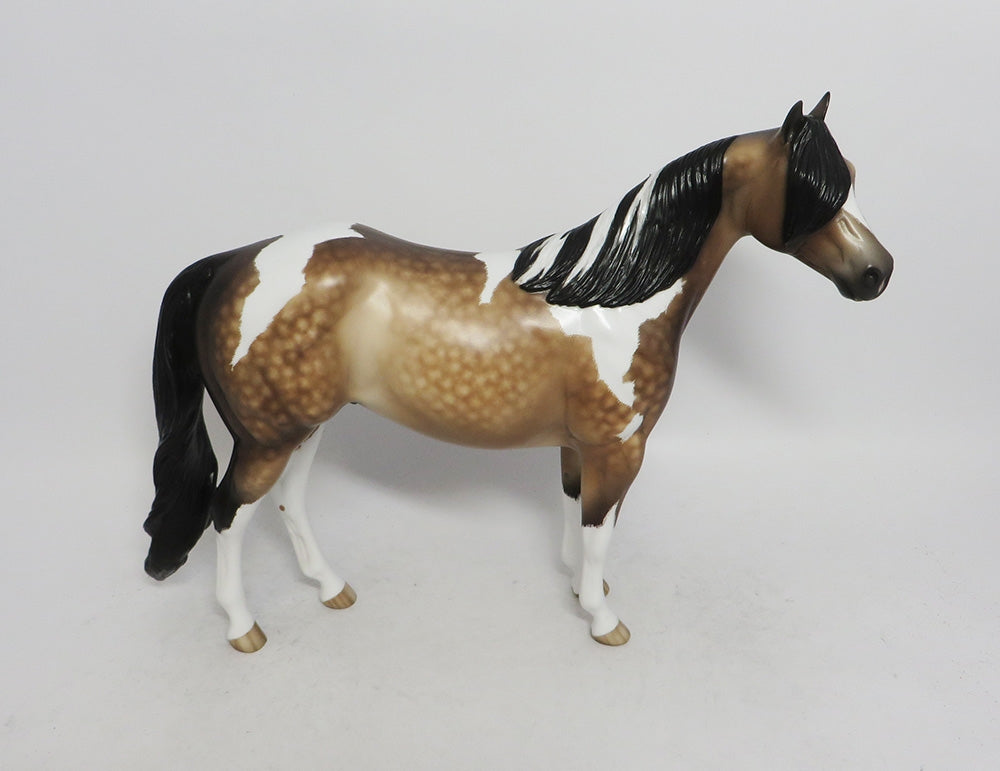 TOIL AND TROUBLE- OOAK DAPPLED BUCKSKIN TOBIANO 10/26/18