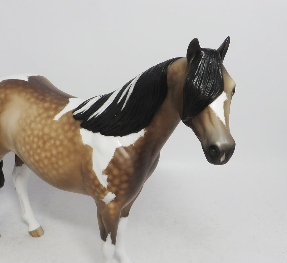 TOIL AND TROUBLE- OOAK DAPPLED BUCKSKIN TOBIANO 10/26/18