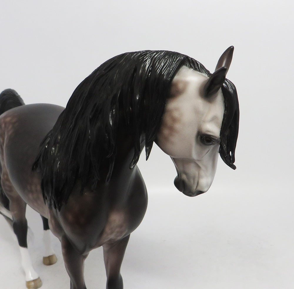 MAGIC POTION- OOAK DAPPLED GREY ANDALUSIAN 10/26/18