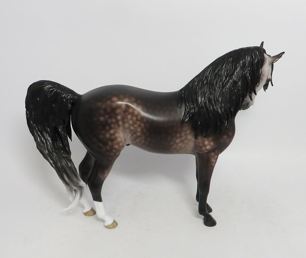 MAGIC POTION- OOAK DAPPLED GREY ANDALUSIAN 10/26/18