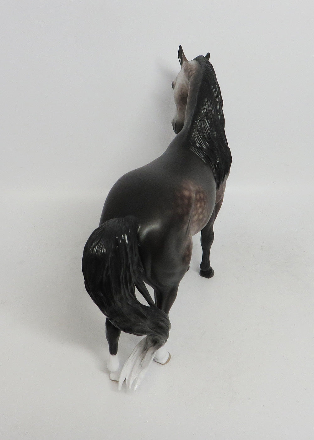 MAGIC POTION- OOAK DAPPLED GREY ANDALUSIAN 10/26/18